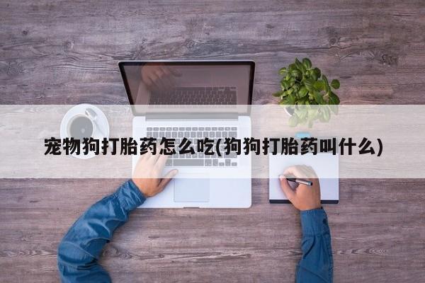 米非米索购买方式宠物狗打胎药怎么吃(狗狗打胎药叫什么)