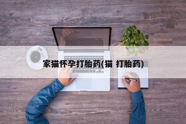 米非米索购买方式家猫怀孕打胎药(猫 打胎药)